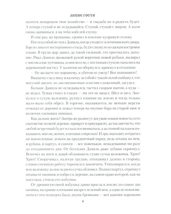 Дополнительное изображение книги «Лихие гости: роман»