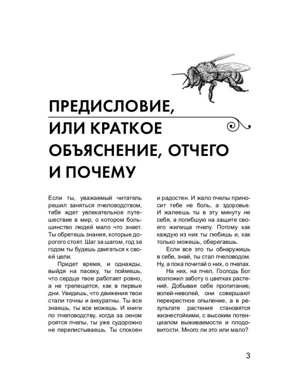 Пчеловодство для начинающих