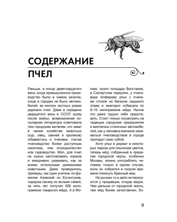 Пчеловодство для начинающих