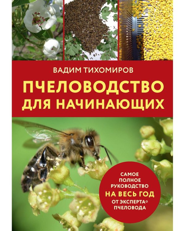 Пчеловодство для начинающих