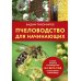 Пчеловодство для начинающих