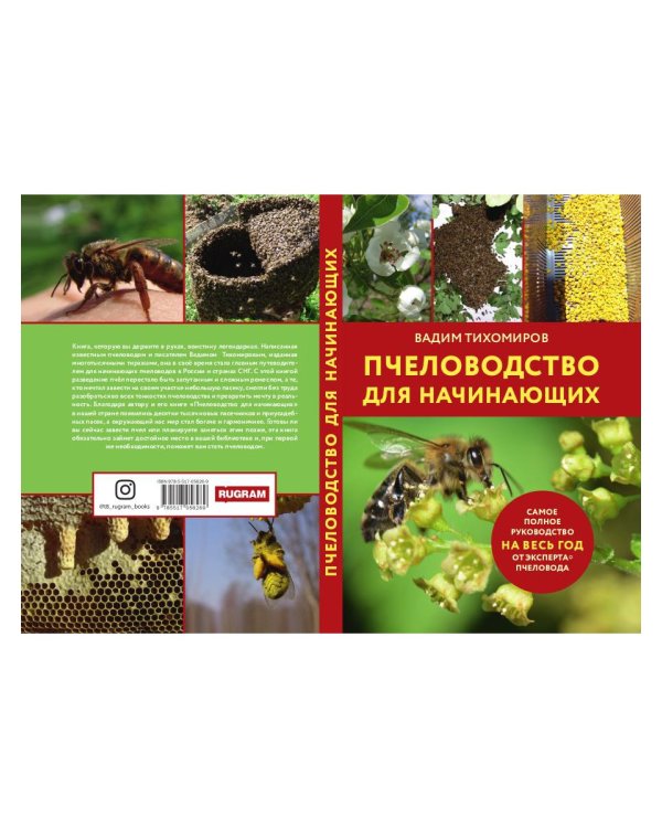 Пчеловодство для начинающих
