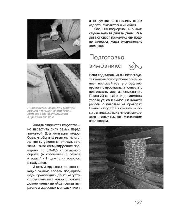 Пчеловодство для начинающих