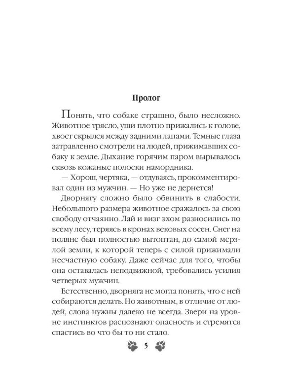 Кукольный дом