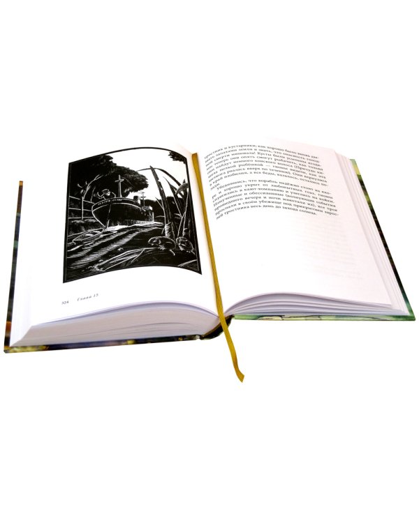 Эпическая сказочная сага о приключениях последних гномов (комплект из 2-х книг)