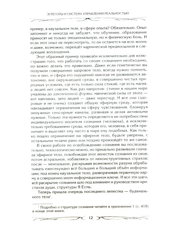 Дополнительное изображение книги «Эгрегоры и система управления реальностью»