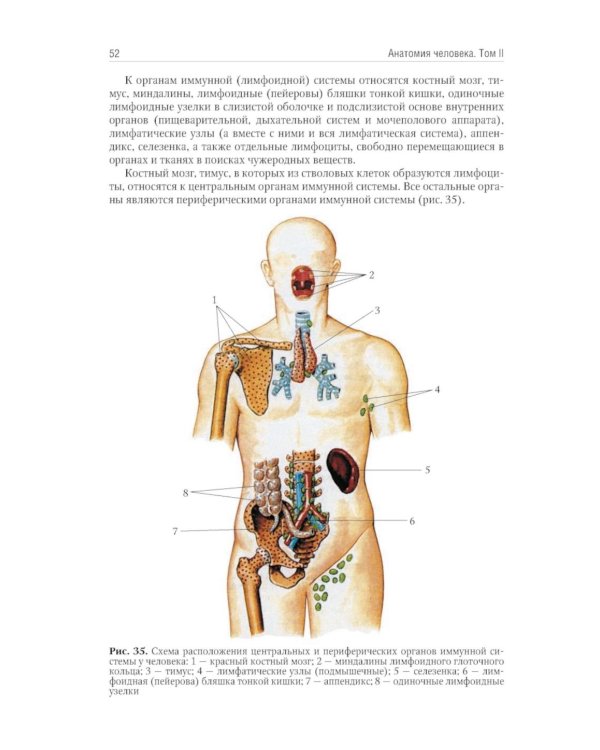 Анатомия человека: Учебник. В 2 т (комплект из 2-х книг)