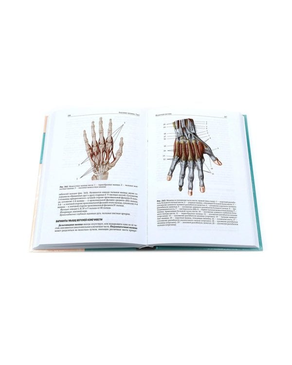 Анатомия человека: Учебник. В 2 т (комплект из 2-х книг)