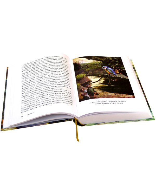 Эпическая сказочная сага о приключениях последних гномов (комплект из 2-х книг)