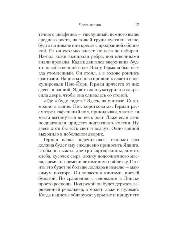 Враги. История любви: роман