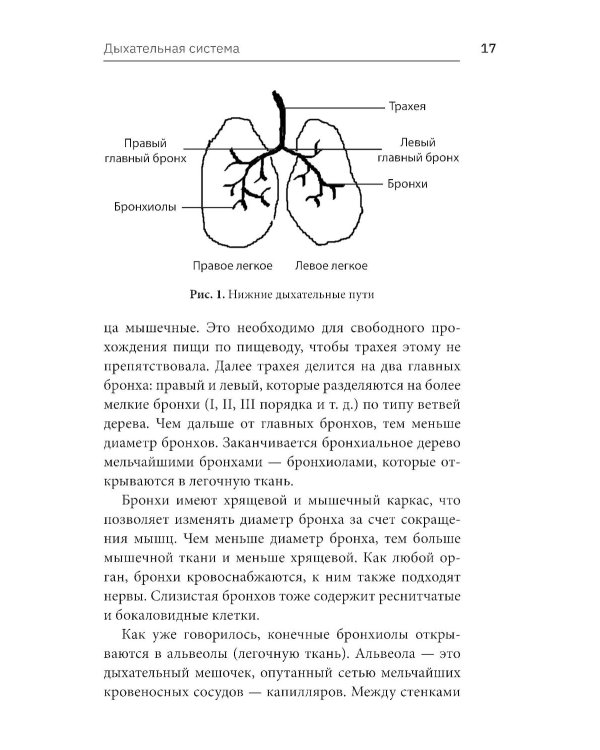 Научиться жить с бронхиальной астмой