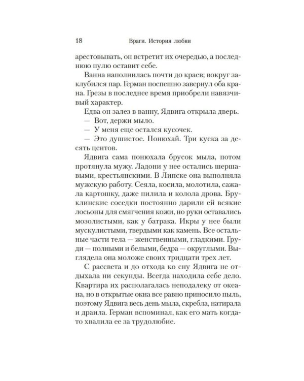 Враги. История любви: роман