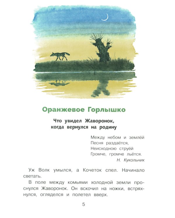 Тайна ночного леса. Сказка и рассказ
