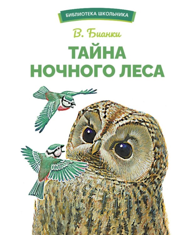 Тайна ночного леса. Сказка и рассказ