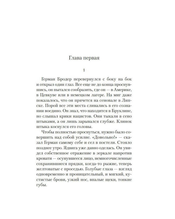 Враги. История любви: роман