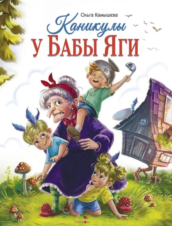 Детская художественная литература Каникулы у Бабы Яги