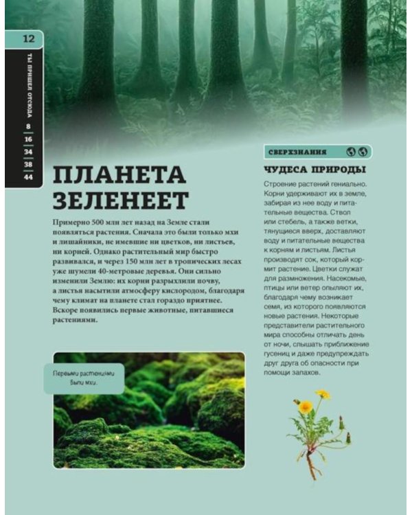 Дополнительное изображение книги «Наша Земля»
