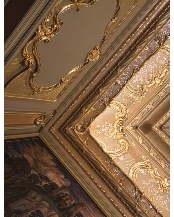 За парадными дверьми: московские особняки в фотографиях и историях