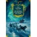 Из Парижа в Бразилию по суше: роман