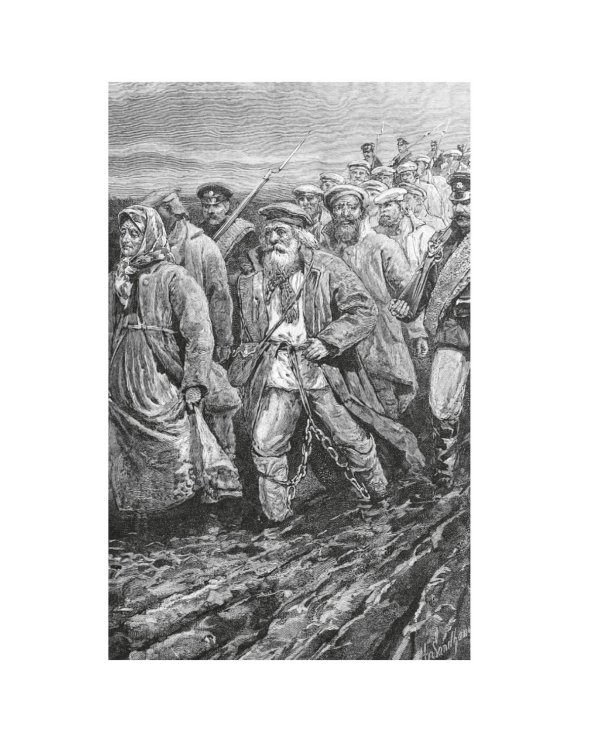 Из Парижа в Бразилию по суше: роман