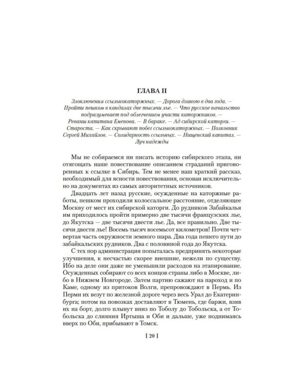 Из Парижа в Бразилию по суше: роман