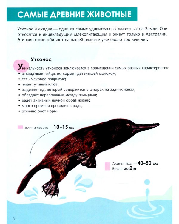 Детская энциклопедия. Животные