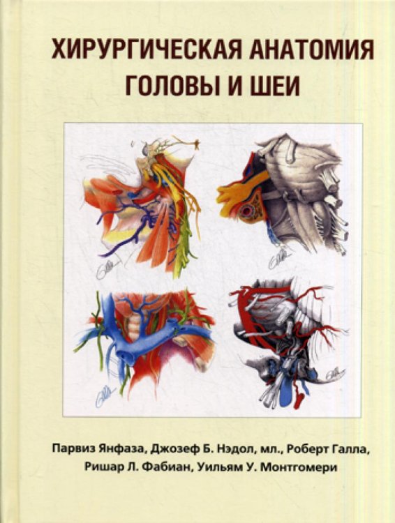 Хирургическая анатомия головы и шеи Хирургическая анатомия головы и шеи