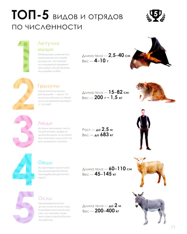Детская энциклопедия. Животные