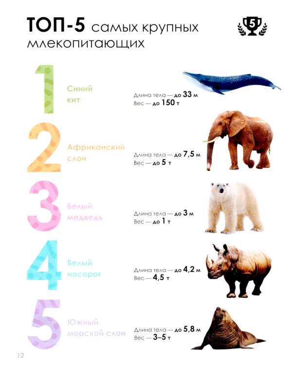 Детская энциклопедия. Животные