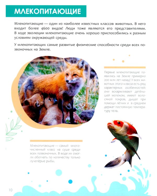 Детская энциклопедия. Животные