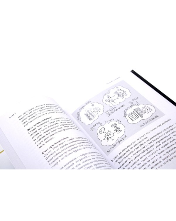 Все проблемы в голове; Мозг в порядке (комплект из 2-х книг)