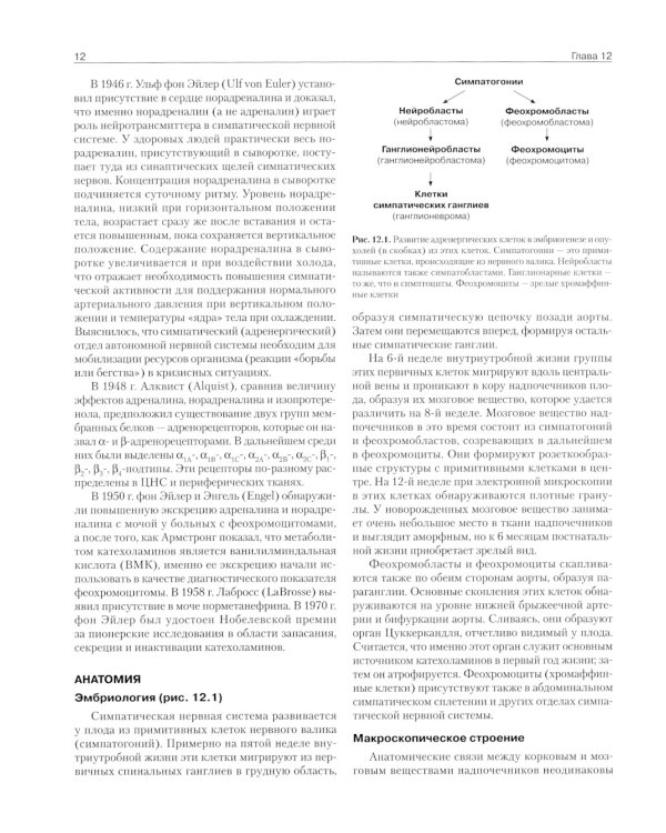 Базисная и клиническая эндокринология. Кн. 2