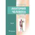 Анатомия человека: Учебник: в 2 т. Т. 2