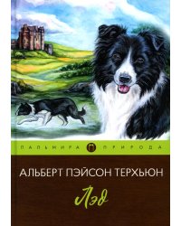 Лэд: повесть