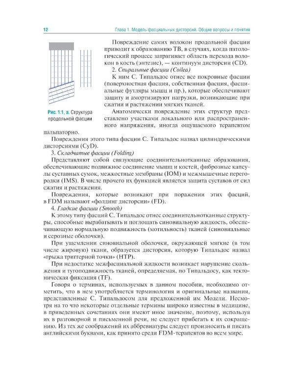 Мануальная терапия по С. Типальдосу. Модель фасциальных дисторсий: Учебное пособие