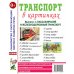 Транспорт в картинках. Вып. 1: Пассажирский и железнодорожный транспорт. Наглядное пособие для педагогов, логопедов, воспитателей и родителей.