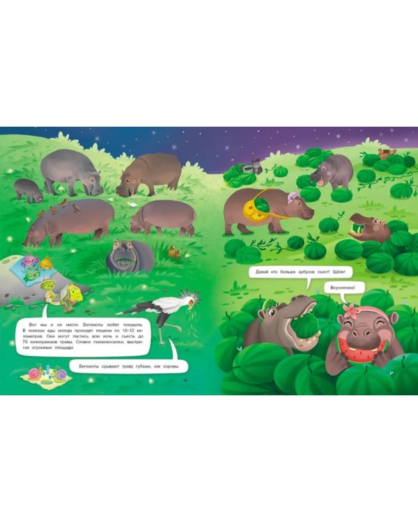 Интервью вприпрыжку. Бегемоты. Изящные толстопузики