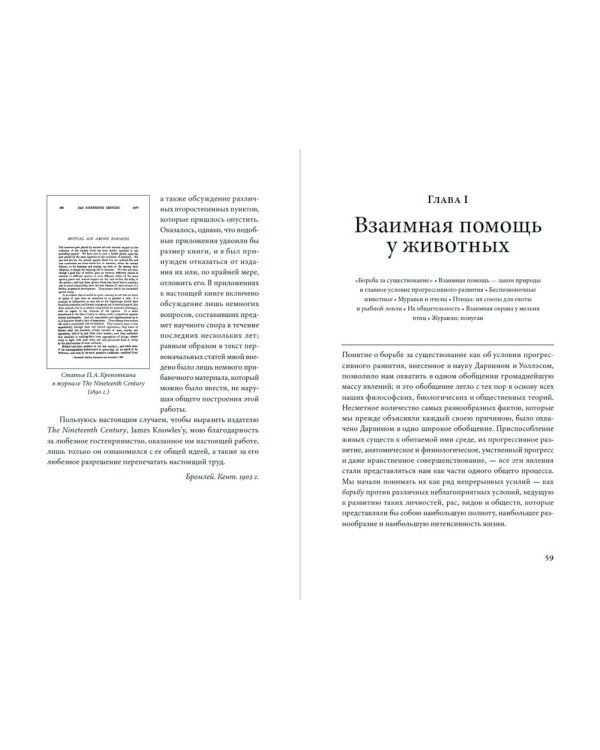 Взаимная помощь: Почему мы эволюционируем, помогая друг другу