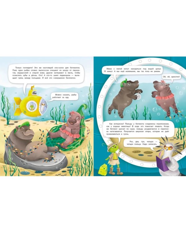 Интервью вприпрыжку. Бегемоты. Изящные толстопузики