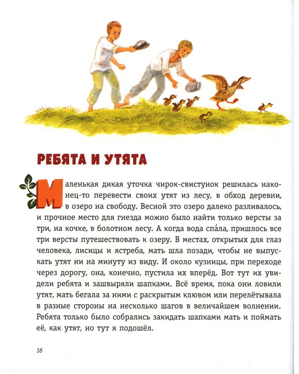 Рассказы о животных