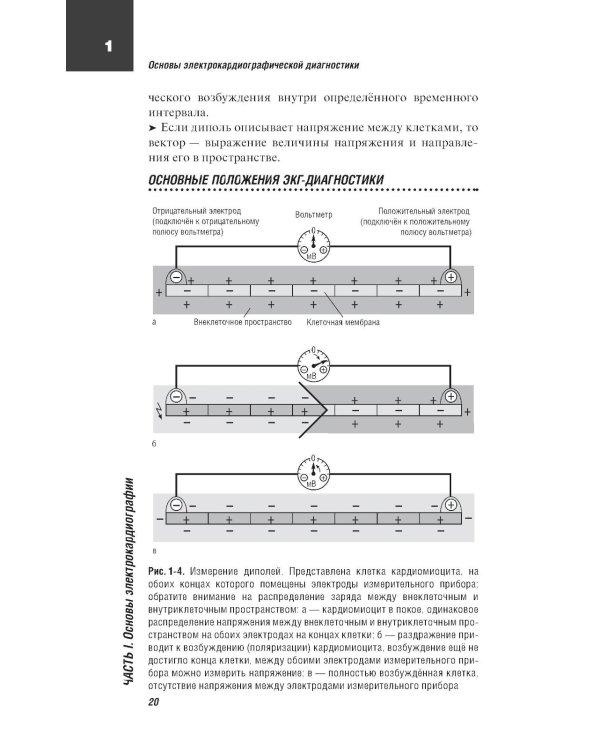 ЭКГ. Карманный справочник. 2-е изд