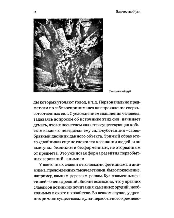 Русь языческая. От многобожия к государственности