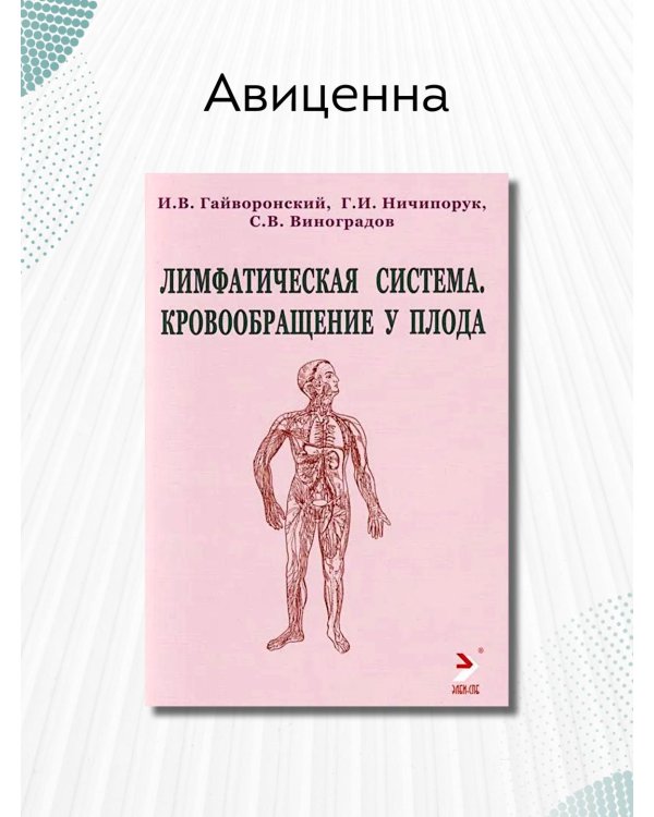 Лимфатическая система. Кровообращение у плода. Учебное пособие