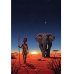 Дополнительное изображение книги «Адажио и Фабуа. О слонах и людях»