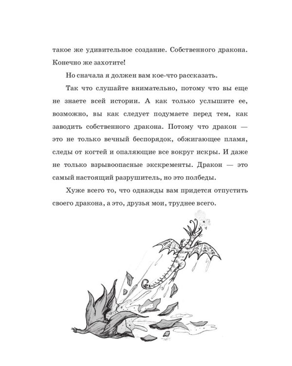 Мальчик, который летал с драконами