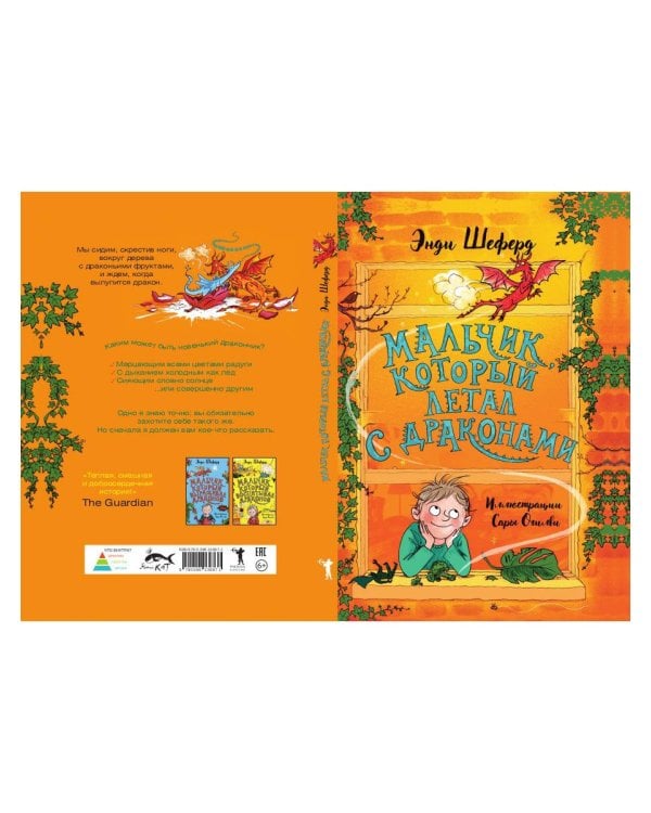 Мальчик, который летал с драконами