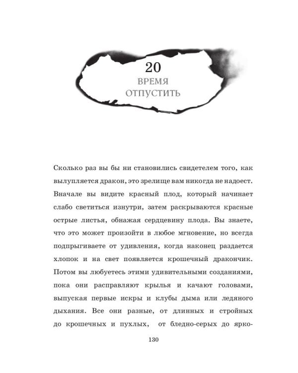 Мальчик, который летал с драконами