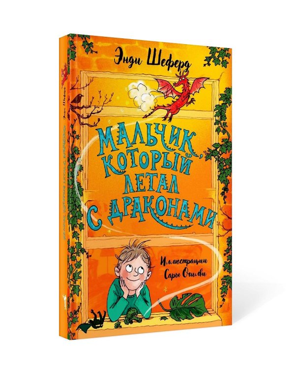 Мальчик, который летал с драконами