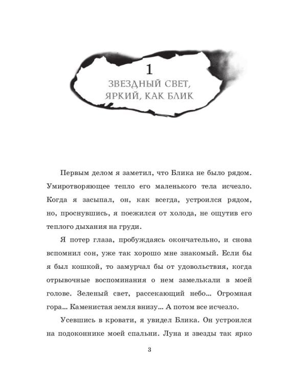 Мальчик, который летал с драконами