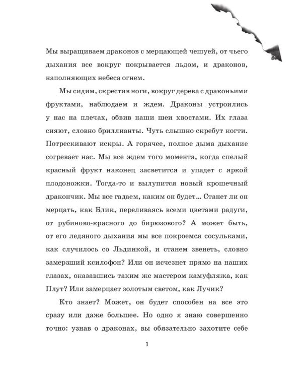 Мальчик, который летал с драконами